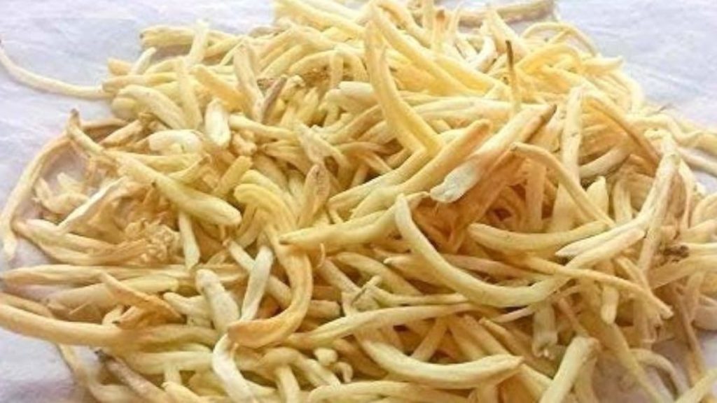 किस काम आती है