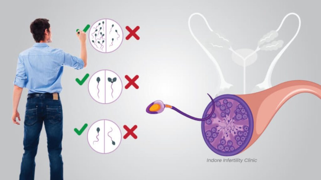 स्पर्म काउंट कैसे बढ़ाएं (Natural Ways to Increase Sperm Count)