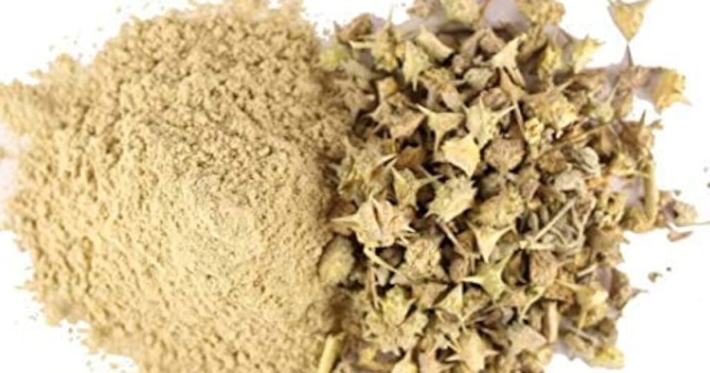 गोखरू का सेवन कैसे करें